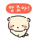 오하즈뷰티