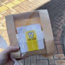 대양서적 이미지