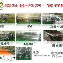 대박농산물 - 성남시 중원구 자혜로72번길 3-1 | 대박농산물