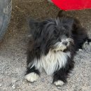 카페인카 | 수연인카파도캬