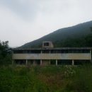 충정