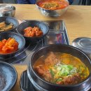 솔향육개장