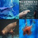 여수 아쿠아리움 아쿠아플라넷 할인 주차 여수 실내 데이트 코스