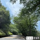 진해구 ⓒ-23 | [진해 용원cc] 회원제 명문 골프장 백로 코스 라운드 후기 (Feat. 코스 공략법)