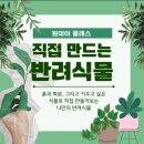 경기도 구리시 청소년수련관 | 무료 원예수업 참여 기회｜구리 청년내일센터 테라리움 클래스