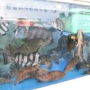 해신횟집 이미지