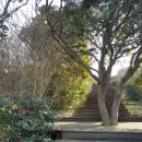 도리민박 이미지