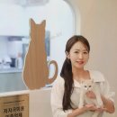 언제나고양이 네이버블로그