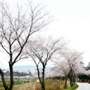 배영중학교 이미지