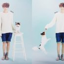 양부자 Daum카페