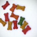 REBORN DOG 이미지