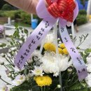 우아 유도관 이미지