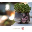 바람내음 이미지