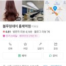 [홍제역미용실] 블루밍데이 - S컬열펌(29주임산부 파마) 후기/화진 디자이너