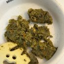 저단9 | 슬개골탈구 수술 후 회복식으로 추천하는 도거박스 저단저지 강아지화식 급여후기