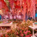 정원수퍼 이미지