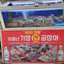 부산기장산곰장어 이미지
