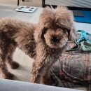 뜨개로 놀자 | 혹한기 대비 지방 축적 프로젝트