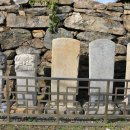 형제송입구 이미지