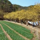 화전2 경로당 이미지