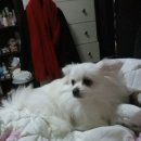 봉원슈퍼 이미지