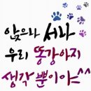 ♥♥최강 814기 4월 28일~29일 수요일 목요일 묶음 출부입니다♥♥ 이미지