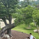 씨유 삼성인력개발원창조관 | 삼성인력개발원 영덕연수원 명상센터 - 숙소, 전경