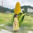 화암파크 이미지