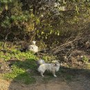 씨유 부평현대하늘점 | 홍천 리버 카라반 글램핑 웨스턴하모니 내돈내산 완전 추천 후기