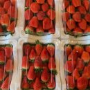 장희농장 이미지