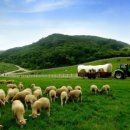 동탄목장 이미지