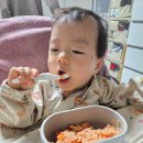 우리고속관광(협) | [12개월아기] D+391 아기와 고속버스 첫 속초여행 (속초 가성비 숙소 라마다 속초 호텔 후기)