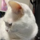 토리엔모리 이미지