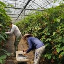 남해 사랑채 이미지