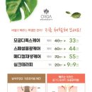 올가드림뷰티만현마을