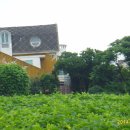 바다별장 이미지