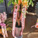 (주)영신에너지 이미지