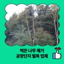 (주)삼표산업 안양공장 | 썩은 나무 제거 공장단지 벌목 업체