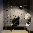 만성로2 | 녹테마레 2월 관람객 후기 모음zip 📦✨