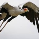 북부도서관 남편 이미지