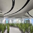 유한프라자 | 서울 동대문 무료 전시회 창작의정원 Garden of Arts 후기 @ DDP둘레길