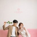 스튜디오카멜리아