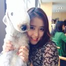 테리몽하우스 이미지