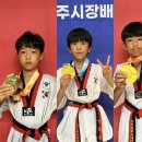 용인대 한미태권도 이미지