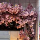 설화돈 | @ 대구 서변동 맛집 '설화돈 동서변본점' / 돌판부추두루치기 후기