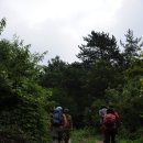 [고성] 오두산 치유의 숲~상리연꽃공원 이미지