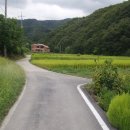 남사1리 티스토리