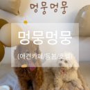 멍뭉호텔 이미지