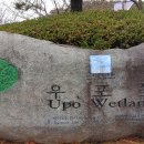 우포늪생태관 이미지