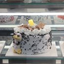 유진F&P | 여름 1 🐾🤍